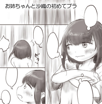 Onee-chan to Saori no Hajimete Bra gallery cover