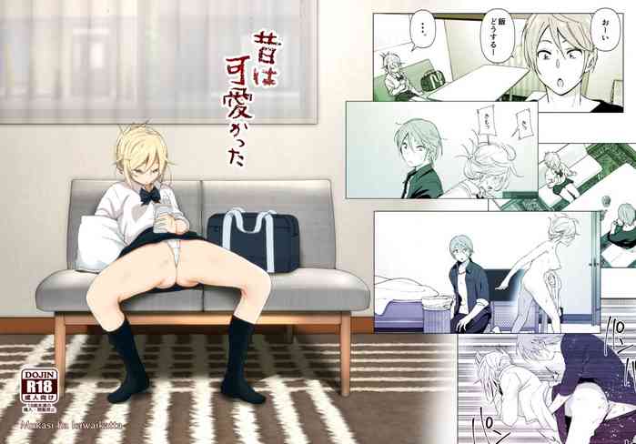 Mukashi wa Kawaikatta gallery cover