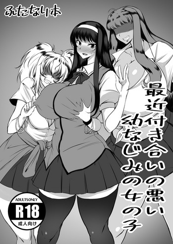 Odekakeraibu IN Okinawa Gentei Futanari Hon gallery cover