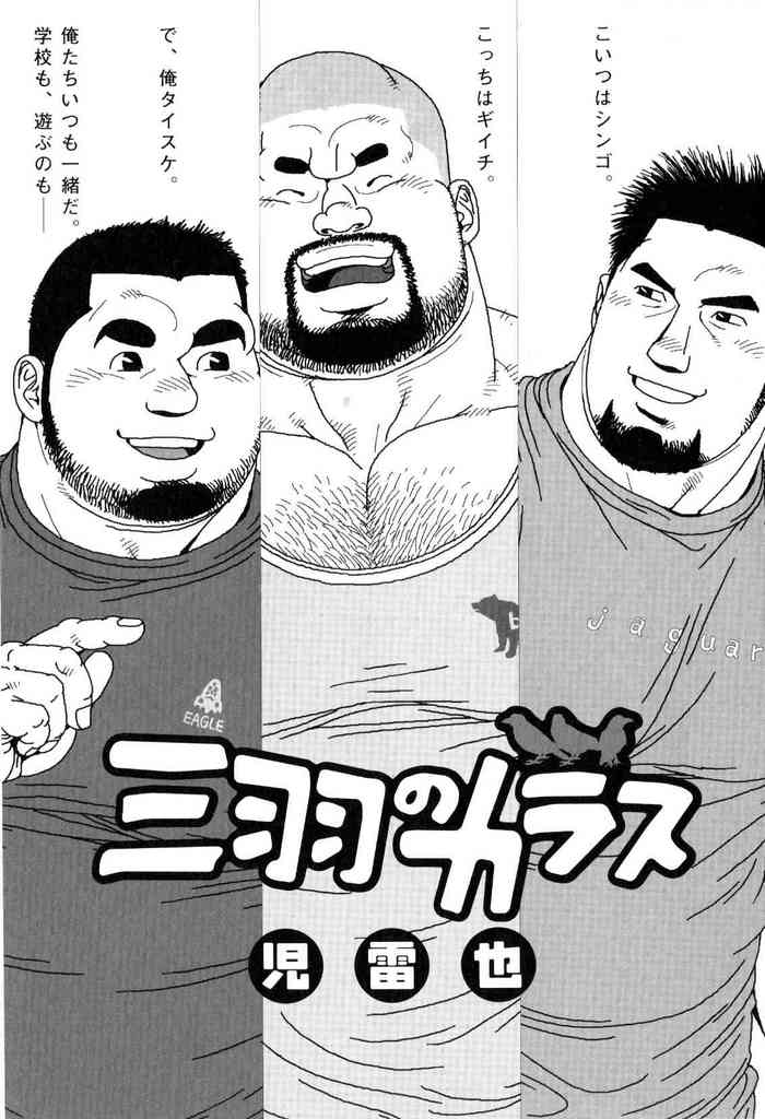 Sanwa no Karasu gallery cover