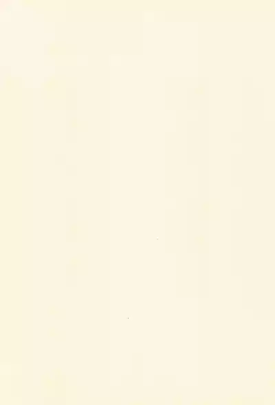 Page 3 of POLON de POLON