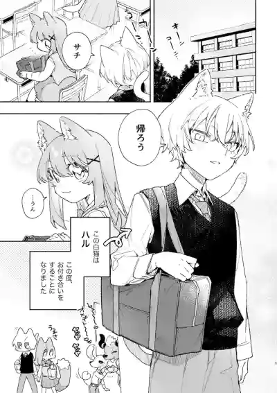 Page 2 of [usachanGET] ♂ ga Uke. Neko-chan x Neko-kun 2 [Japanese]
