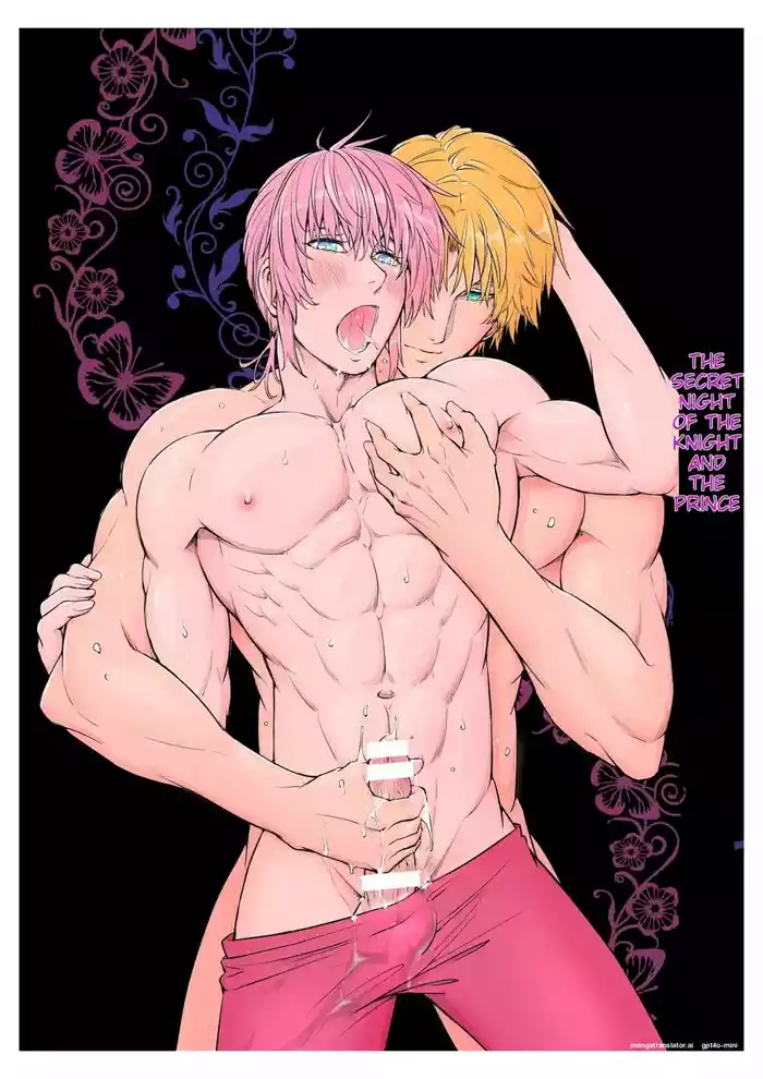 The Knight and the Prince's Secret Night gallery cover from original