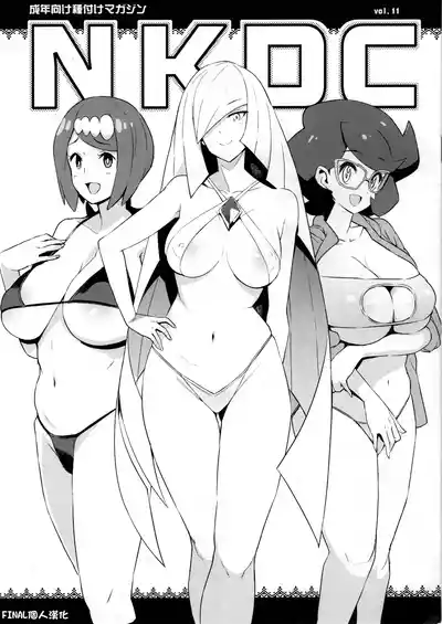Page 1 of NKDC Vol. 11
