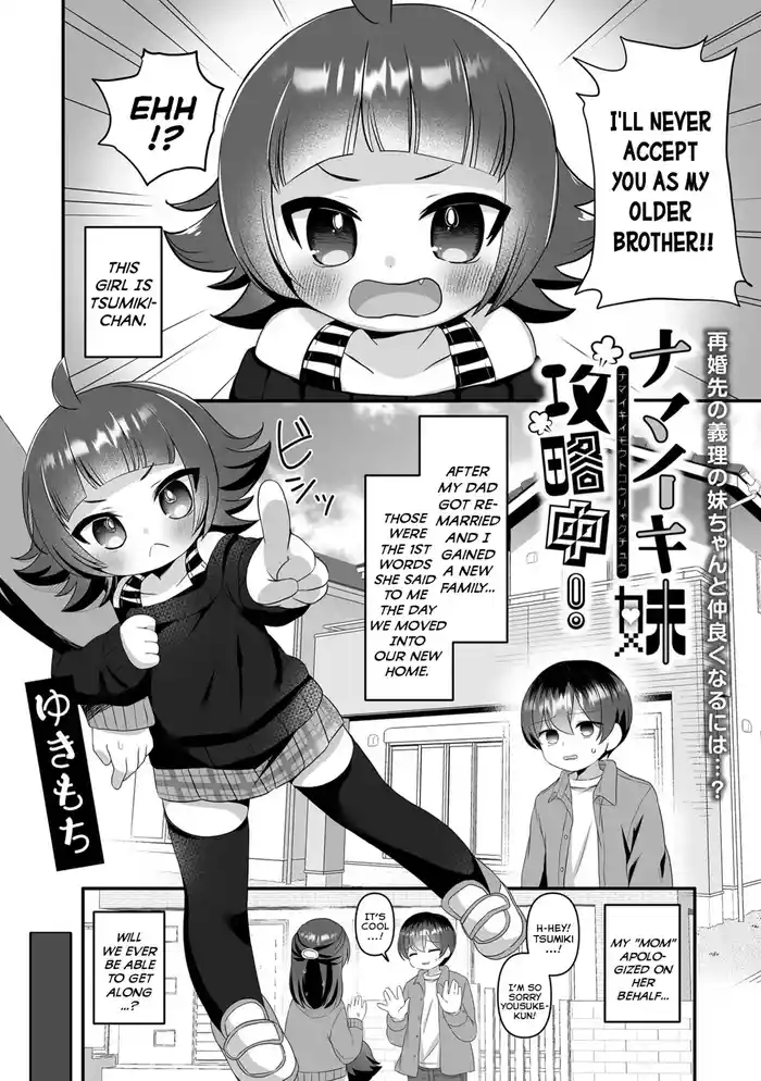 Namaiki Imouto Kouryakuchuu! gallery cover