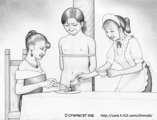 CFNM & CBT art gallery backup from core.h.fc2.com/cfnmcbt/