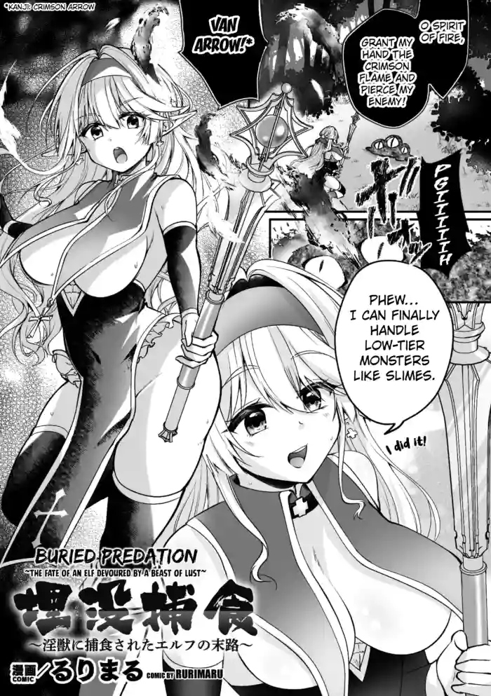 Fate of an Elf