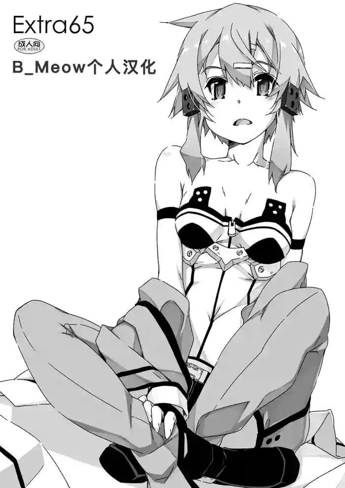 Extra 65