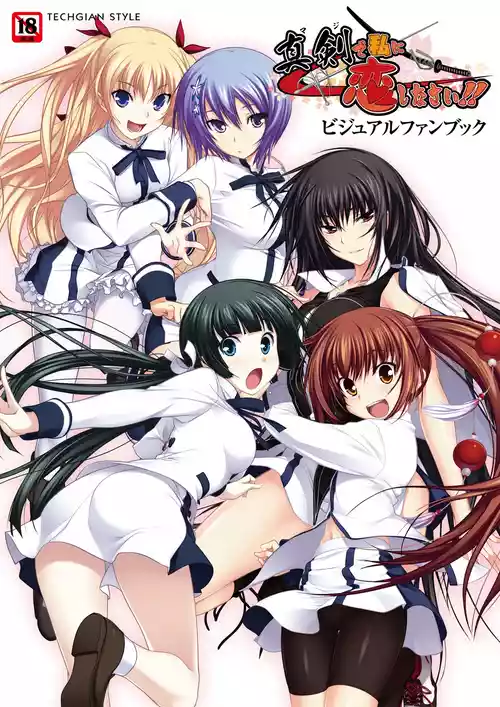 Maji de Watashi ni Koi Shinasai Visual Fan Book [Digital]