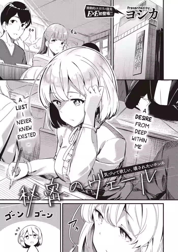 Himitsu no Veil / Veil of Secret