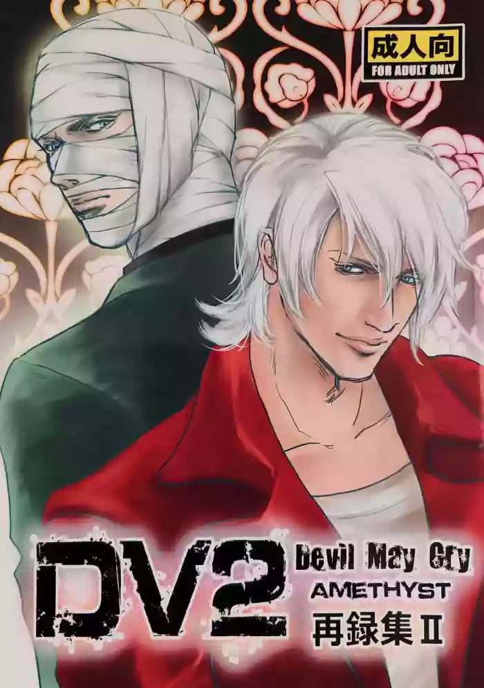 八神DV再録集2
