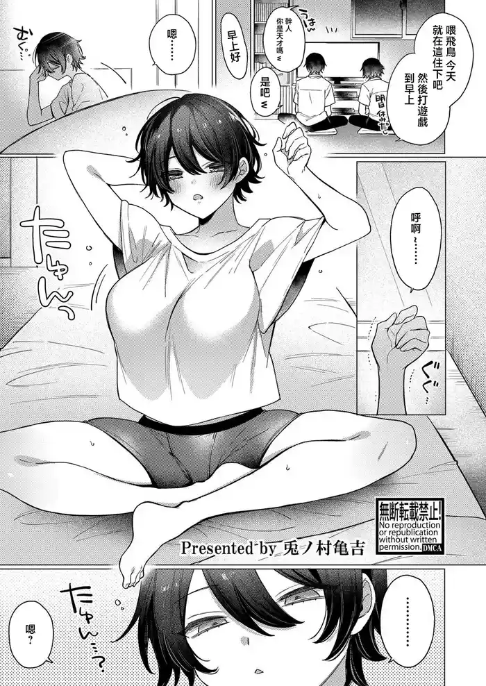 TS no Naoshikata