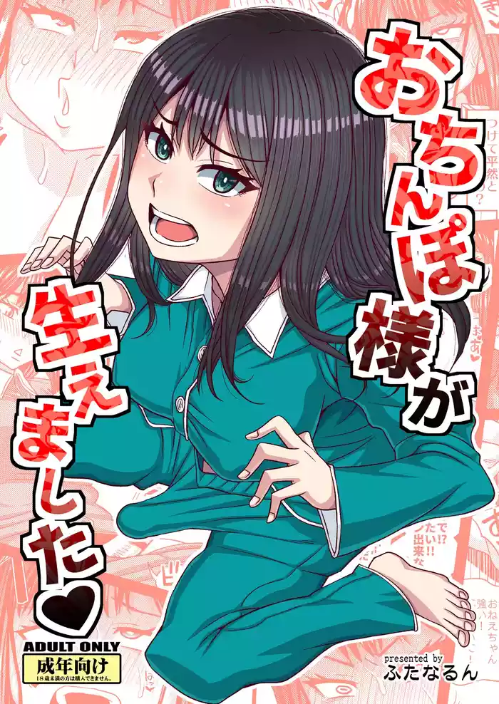 Ochinpo-sama ga Haemashita gallery cover