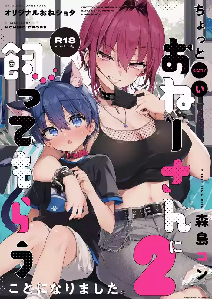 Chotto Kowai Onee-san ni Katte morau Koto ni Narimashita.2