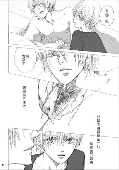 Page 15 of [PILZ(希乃)]青いカナリヤ 白いアゲハ [Dante x Vergil](Devil May Cry) [Chinese]