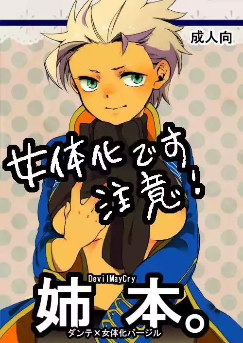 (C80) [TOMMY (トミタ)]姉本。1 [Dante x Vergil](Devil May Cry) [Chinese]