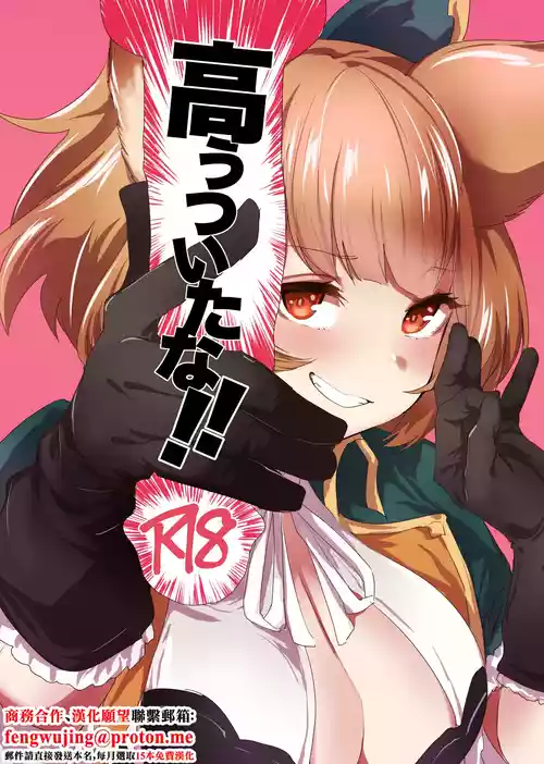 [Rev3 (Monchan rev3)] Takou Tsuita na!! (Granblue Fantasy) [Chinese] [Digital]