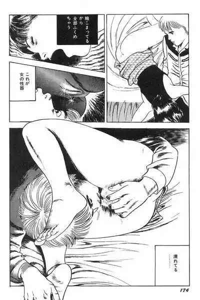 Page 175 of [Nakajima Fumio] akajima's Furious H Gekiga Season 3: Crimson Makeup in the Snow