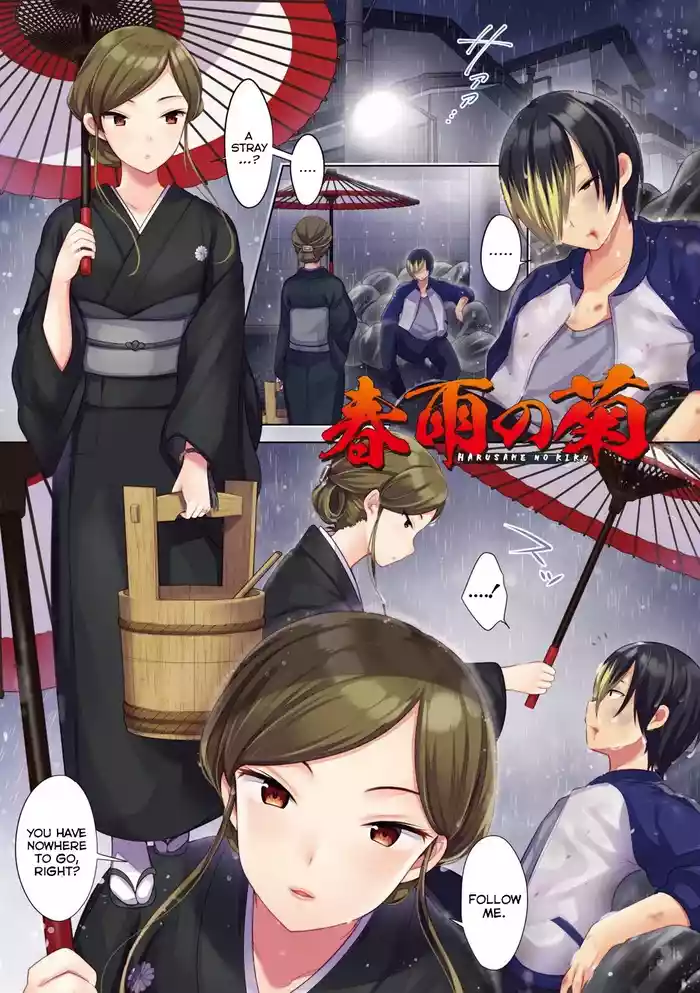 Harusame no Kiku | The Chrysanthemum of the Spring Rain