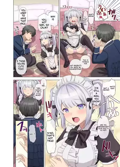 Page 13 of TS Tensei Shitara Akogare no Onnanoko datta "Maid na Boku wa Mechakucha ni Saretai"