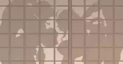 [KeinV] 多国合同調査チーム·稲妻 (Genshin Impact)