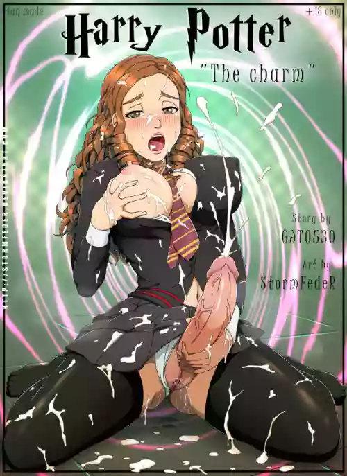 [StormFedeR] The Charm (Harry Potter) [心海汉化组]