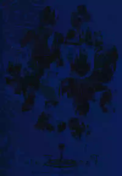 Page 32 of Passing Rain (Final Fantasy XV) Chinese TR （ai翻譯）