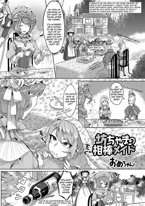 The Young Master’s Partner Maid [rewrite]