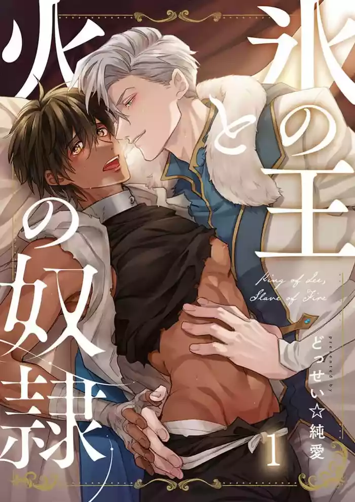 冰之王与火之奴隶 gallery cover