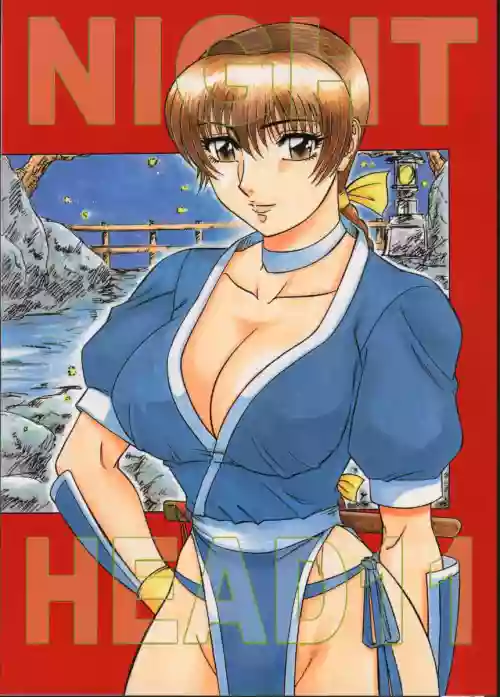 (CR27) [Circle Taihei-Tengoku (Aratamaru)] NIGHT HEAD 11 (Dead or Alive) [English] [CopyOf]