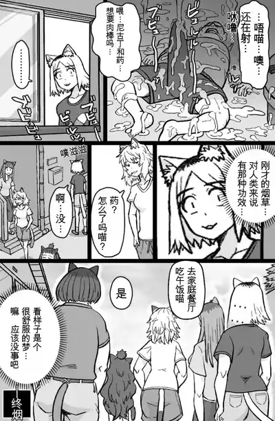 Page 19 of Nekoneko Dreamer