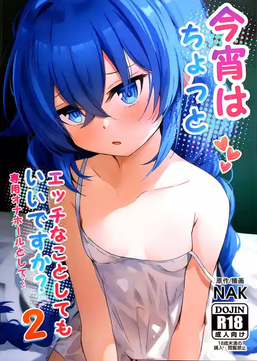 (C106) [NAK] Koyoi wa Chotto Ecchi na Koto Shite mo Ii desu ka? Senyou Onahole to Shite... 2 (Mushoku Tensei ~Isekai Ittara Honki Dasu~) [Chinese] [天使半机翻汉化]