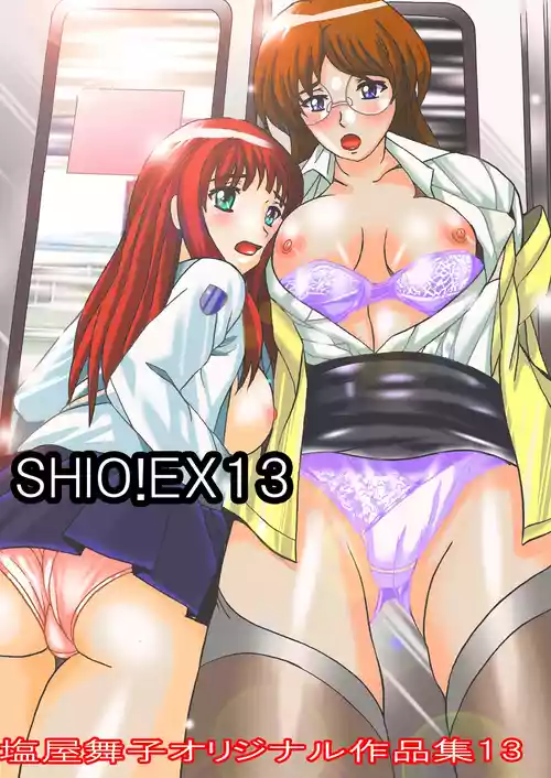 [Shioya (Shioya Maico)] SHIO!EX 13 [Digital]