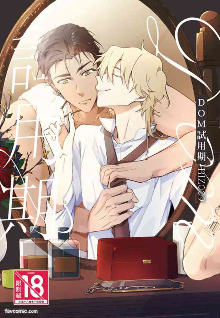 The Dom Trial Period︱Dom试用期