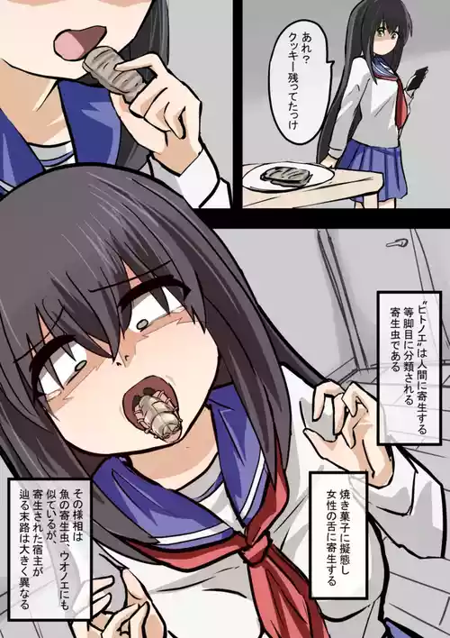 [OtonoF] Gitaigata Kisei