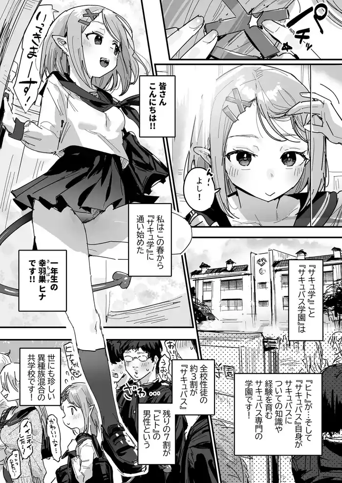 Succubus Gakuen gallery cover from original