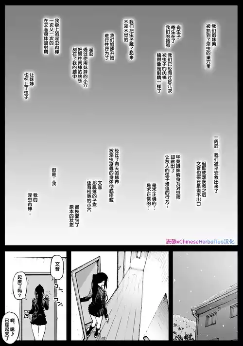 [Ahemaru] Kouishou no Shimai[流砂xChineseHerbalTea汉化]