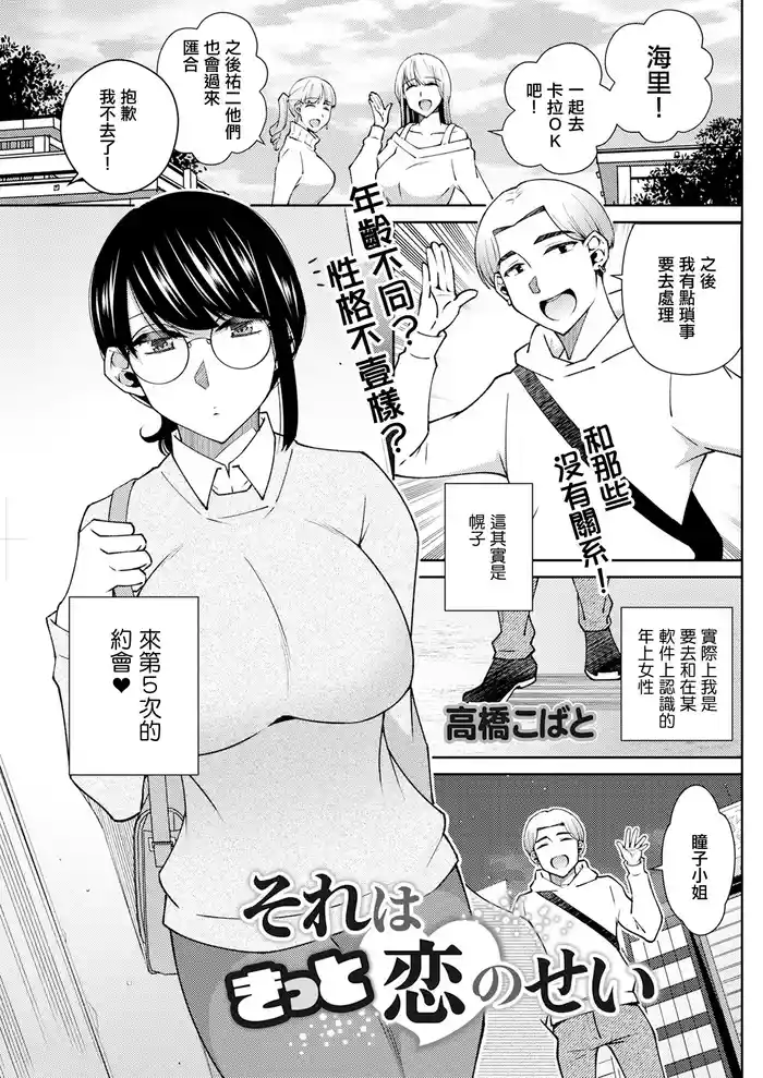 Sore wa Kitto Koi no Sei