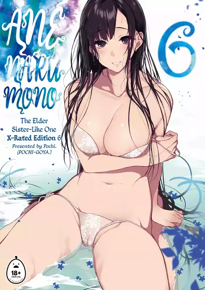 姉なるもの 6