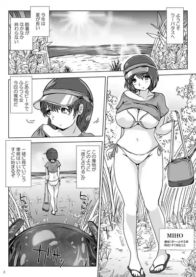 Page 3 of [Erotic Fantasy Larvaturs (Takaishi Fuu)] Ei kan Beach de haramasete sonoato nonde