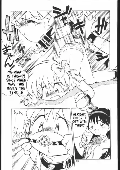 Page 55