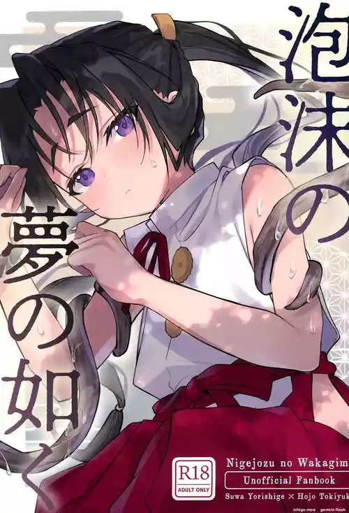 (C105) [Rock Salt (Ganen)] Utakata no Yume no Gotoku (Nige Jouzu no Wakagimi) [English]